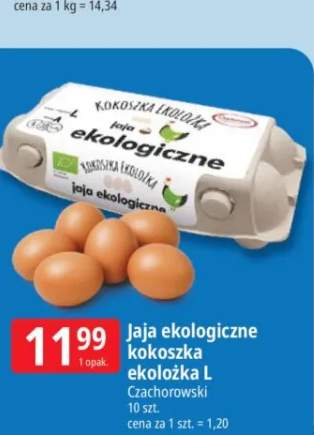 Jaja ekologiczne Kokoszka Ekolożka L Czachorowski