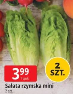 Sałata rzymska mini 2-pak