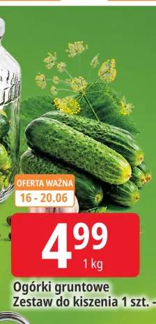 Zestaw do kiszenia +1 wariant
