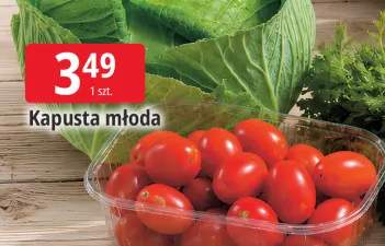 Kapusta młoda