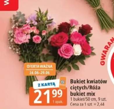 Róża bukiet mix +1 wariant