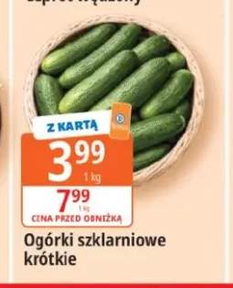Ogórki szklarniowe krótkie