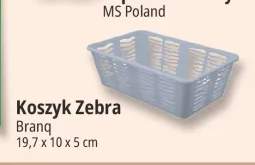 Koszyk Zebra Branq 19,7x10x5 cm