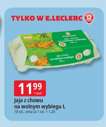 Jaja z chowu na wolnym wybiegu L Polska Kurka