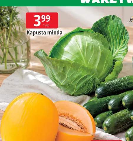 Kapusta młoda