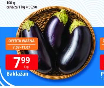 Bakłażan