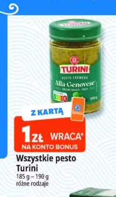 Pesto Turini +1 wariant