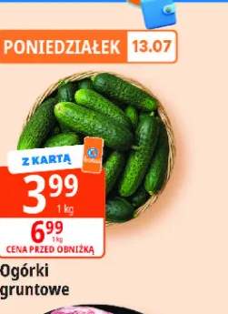 Ogórki gruntowe