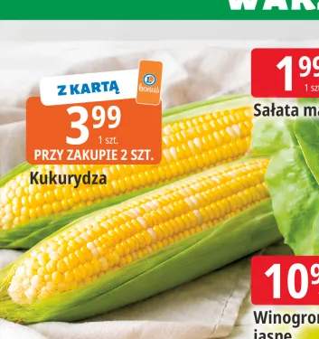 Kukurydza