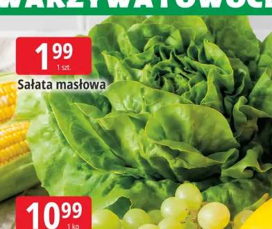 Sałata masłowa