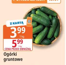 Ogórki gruntowe