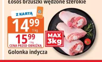 Golonka indycza