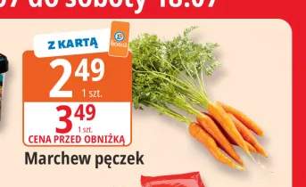 Marchew pęczek