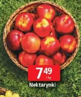 Nektarynki