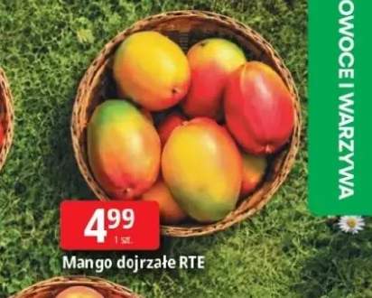 Mango dojrzałe RTE