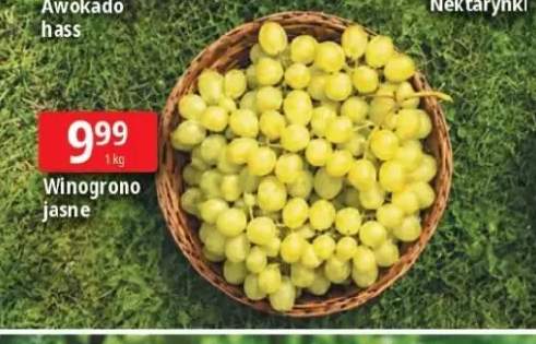 Winogrono jasne