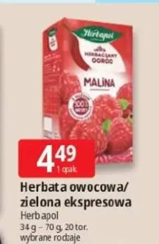 Herbata zielona ekspresowa Herbapol