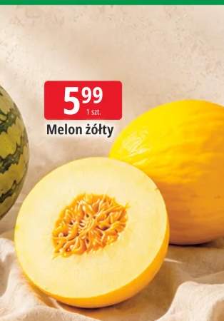 Melon żółty