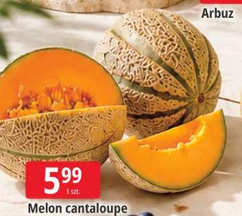 Melon cantaloupe
