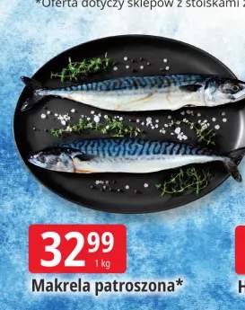makrela filet