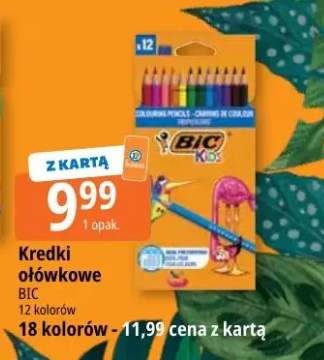 Kredki ołówkowe BIC Kids 12 kolorów +1 wariant