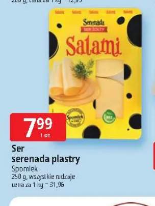 Ser w plastrach Serenada