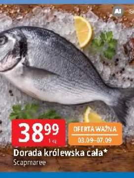 Dorada królewska cała Scapmaree