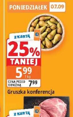 Gruszki konferencja