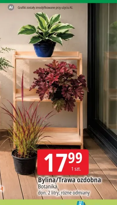 Trawa ozdobna Botanika 2 l +1 wariant