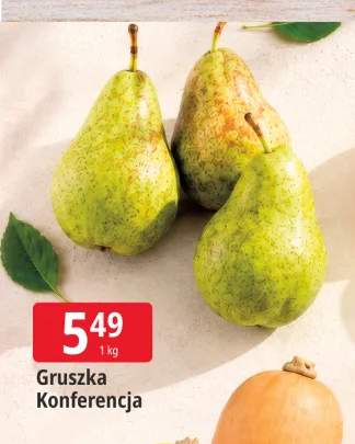 Gruszki Konferencja