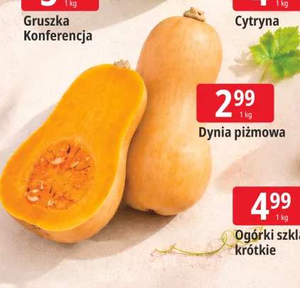 Dynia piżmowa