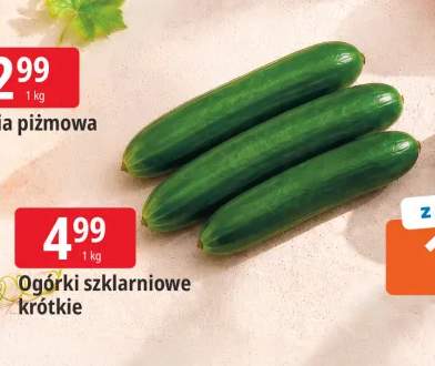 Ogórki szklarniowe krótkie
