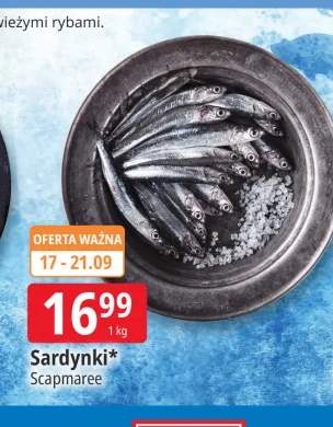 Sardynki Scapmaree