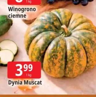 Dynia muscat