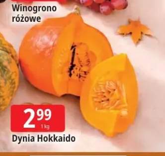 Dynia hokkaido