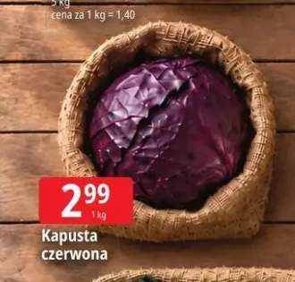 Kapusta czerwona