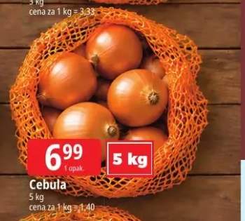 Cebula