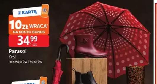 Parasol Zest