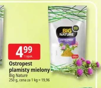 Ostropest plamisty mielony Big Nature