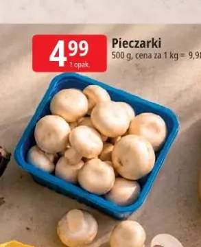 Pieczarki