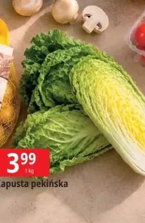 Kapusta pekińska