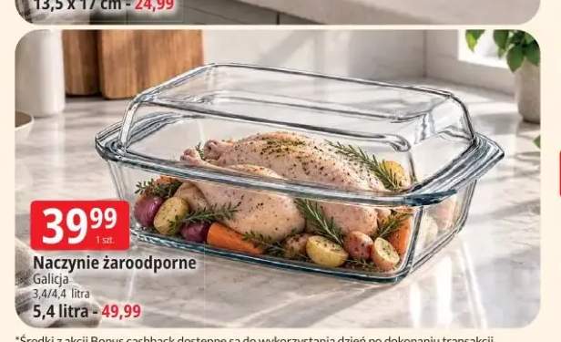 Naczynie żaroodporne 3,4/4,4 l Galicja +1 wariant
