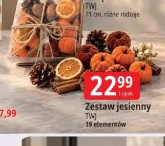 Zestaw jesienny Twj 19 elementów