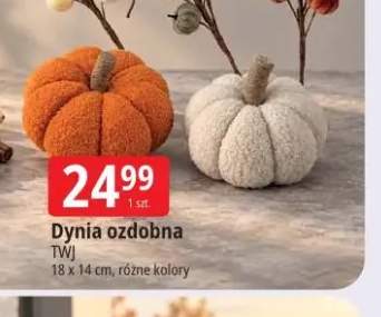 Dynia ozdobna Twj 18x14 cm