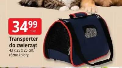 Transporter do zwierząt