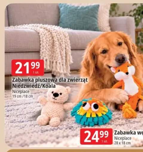 Zabawka pluszowa dla zwierząt NiedŰwiedź Niceplace +1 wariant