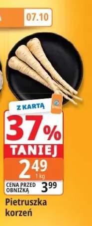 Pietruszka korzeń