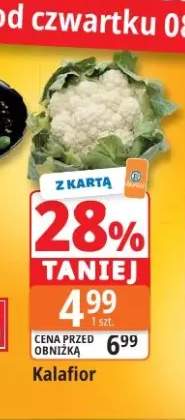 Kalafior