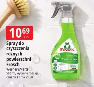 Spray do czyszczenia różnych powierzchni Frosch