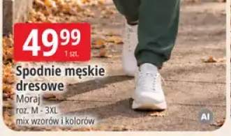 Spodnie męskie dresowe Moraj